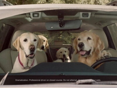 Subaru ofrece accesorios para mascotas